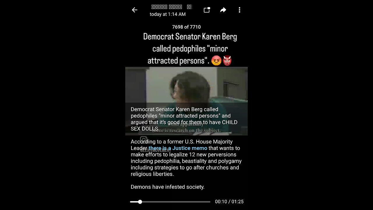 Democrat Karen Berg
