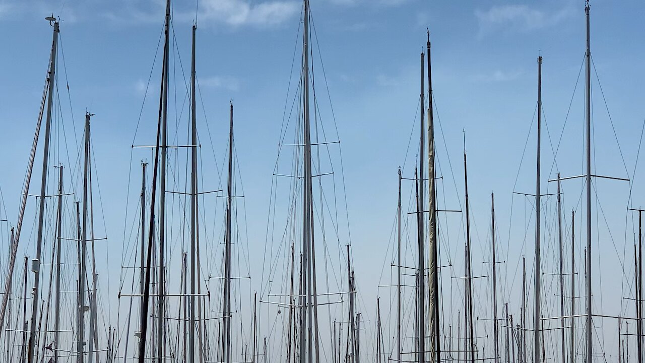 Rushcutters bay