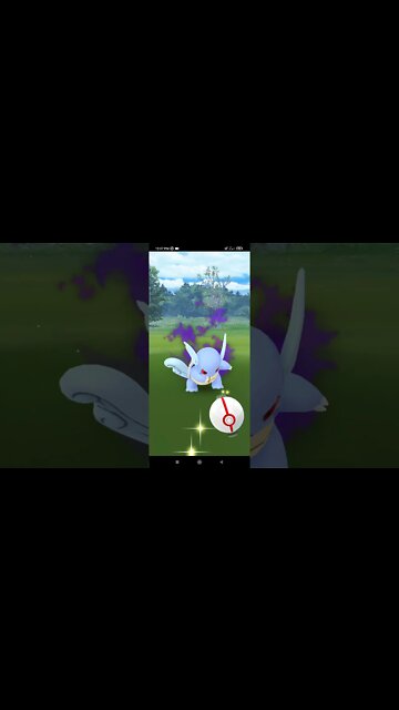 Pokémon GO-Catching Shadow Wartortle