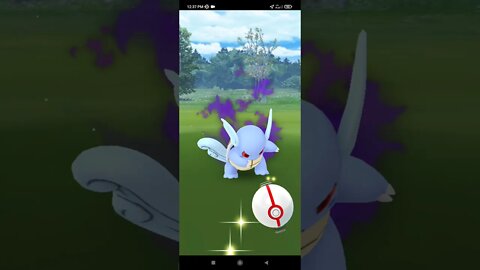 Pokémon GO-Catching Shadow Wartortle