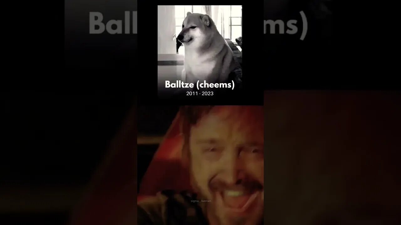 Ele não... R.I.P vá em paz 😭