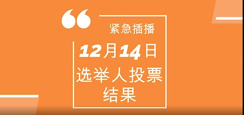 The result of the electoral college on December 14th is predicted12月14日选举人票结果预言