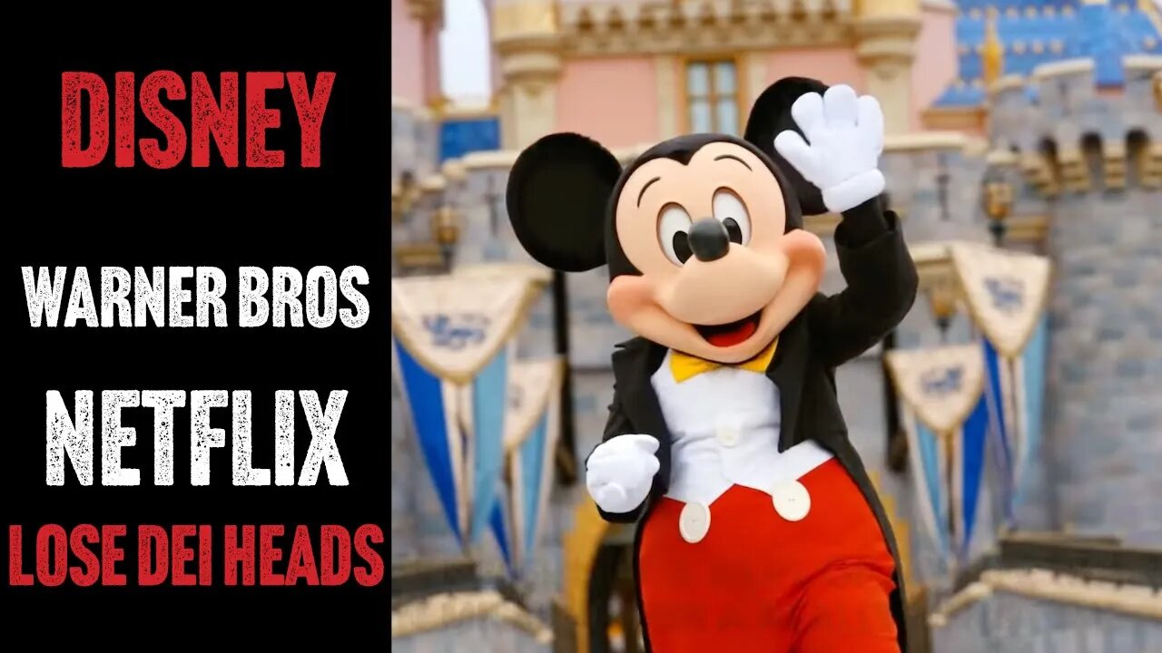 Disney, Warner Bros & Netflix Lose Their Diversity Heads