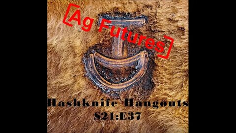 Ag Futures Market | Using Trading to Plan Business (Hashknife Hangouts - S21:E37)