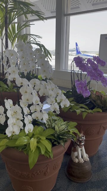 We’ve just landed in Okinawa!