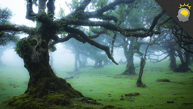 Stuff to Blow Your Mind: When Trees Attack - Science on the Web