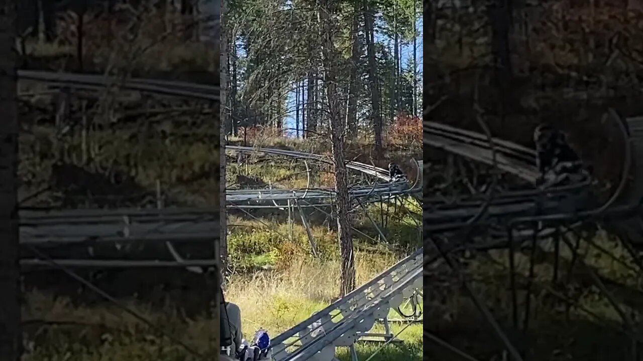 Alpine coaster! #trending #themepark #viral