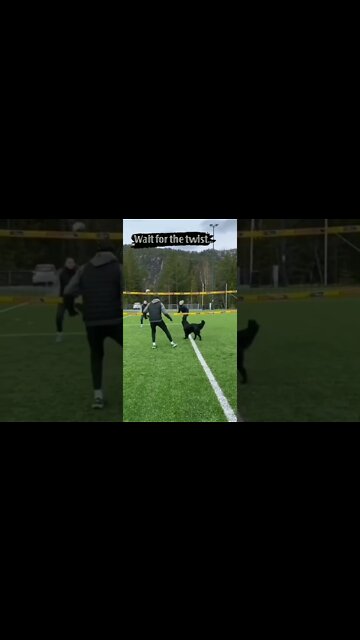 Guess who is the BEST ? , # short