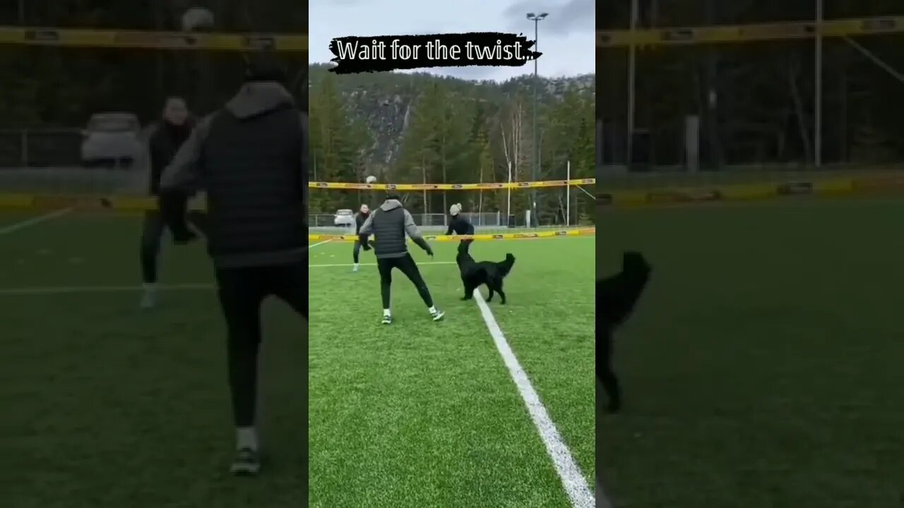 Guess who is the BEST ? , # short