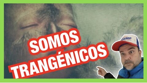 GRAFENO WEEK- SOMOS TRANSGENICOS CON VICENTE FERRER Y LUIS MEDINA