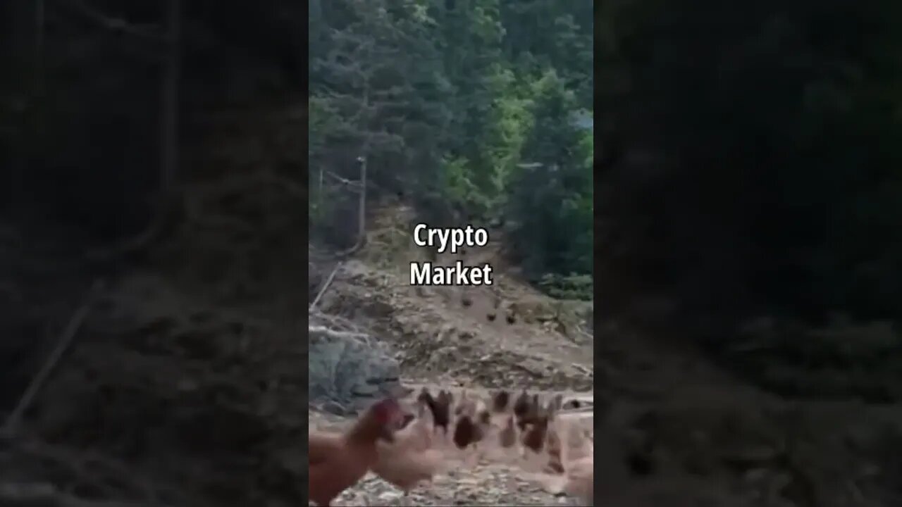 XRP Crypto