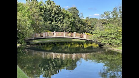 Green Oasis -Queen Sirikit Park - Bangkok Thailand