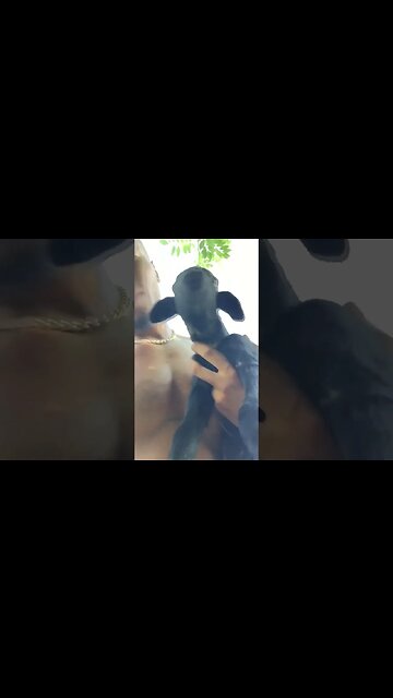 Young thug on yard time