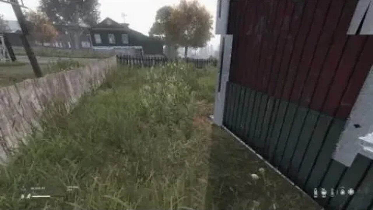 Subversive players in DayZ