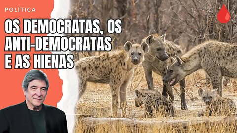 OS DEMOCRATAS, OS ANTI-DEMOCRATAS E AS HIENAS