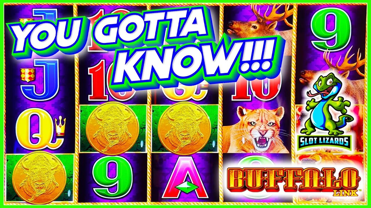 BIG BONUS WINS! YOU JUST GOTTA KNOW THIS! Buffalo Link Slot