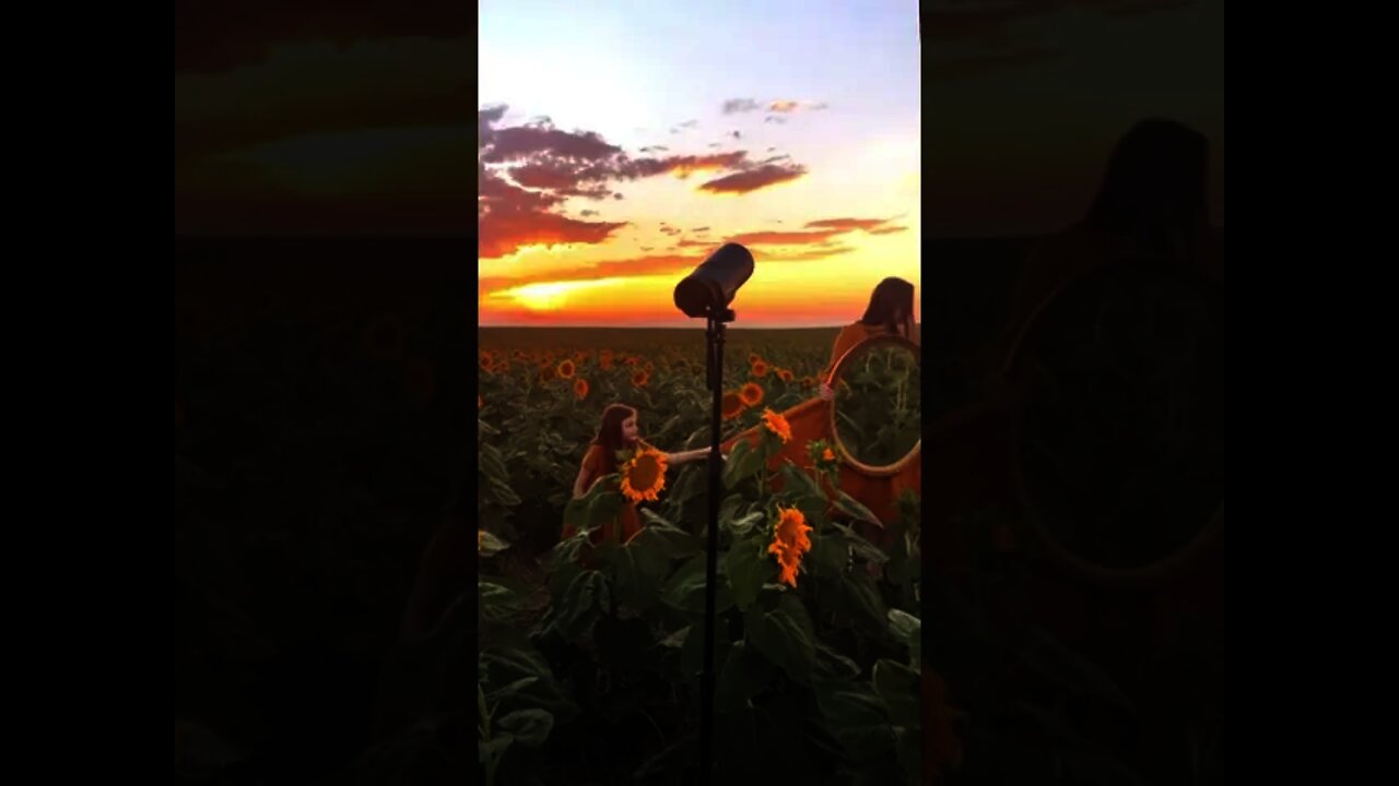 The mirror is heavier than it looks and I fell off of the ladder once or twice #winterfit #sunflower