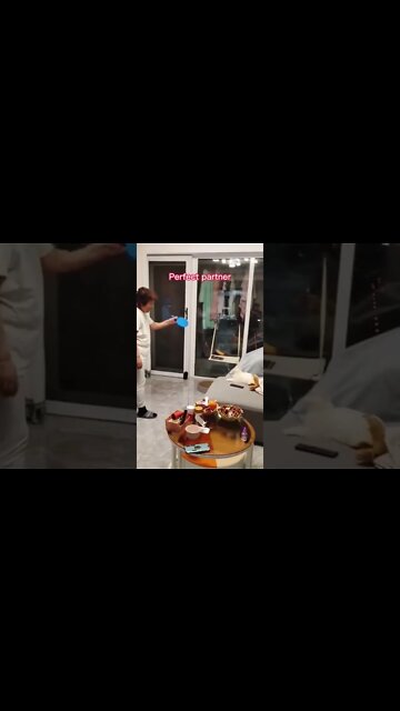 наши милые котики (1)