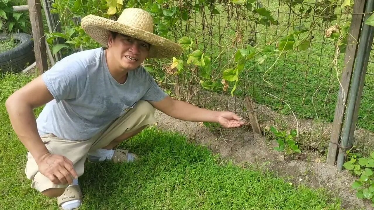 🌳 Biochar (Activate Workshop) Old Food , Carabao Fertilizer Microbial