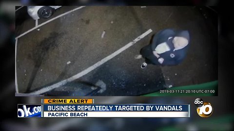 Pacific Beach business captures vandal on camera