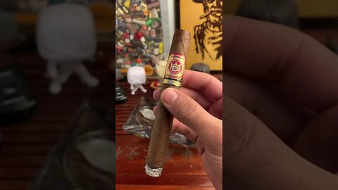 Arturo Fuente 858 Sungrown 🍂💨