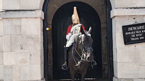 Kings guard horse gets his first target of the day #horseguardsparade