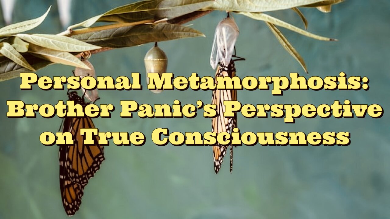 Brother Panic: Personal Metamorphosis