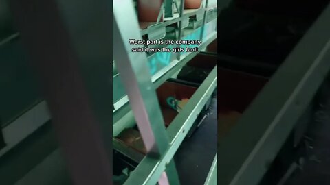 These abandoned trains have a sad backstory 😔