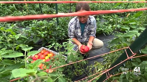 Brookside Farmers Market grows in attendance as growers adapt, bring in new crops