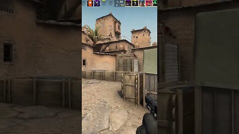 SILLY GOOSE TIME ON CSGO