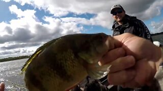 Fishing, catching walleye, how to catch walleye, trolling for walleye