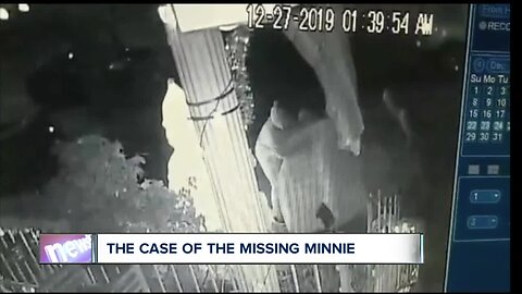 Surveillance cameras capture Christmas caper involving prized inflatable decor