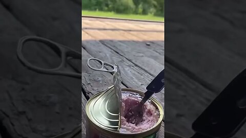 Ukrainian train #shorts