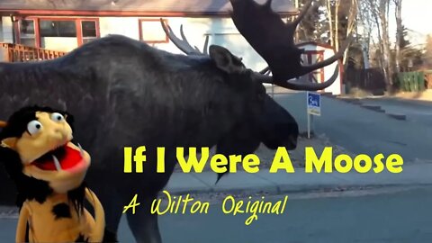 If I Were A Moose