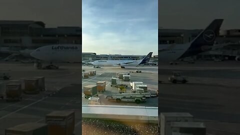 Lufthansa A340-300 Pushback - Frankfurt 🇩🇪