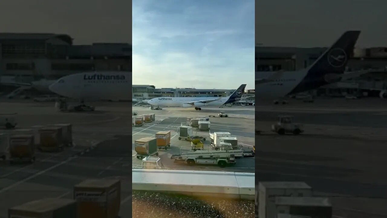 Lufthansa A340-300 Pushback - Frankfurt 🇩🇪