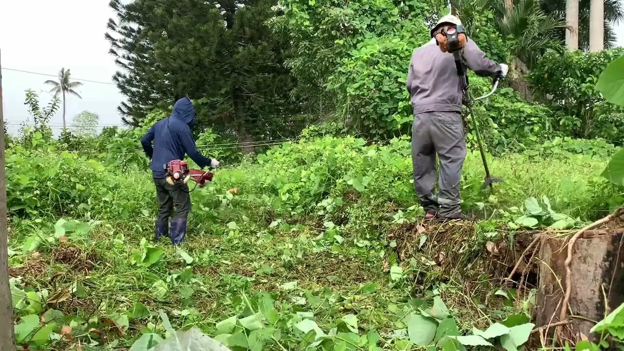 MAGICAL TRANSFORMATION Storm house is no longer a forest | WATCH ME CLEAN THIS FOREST