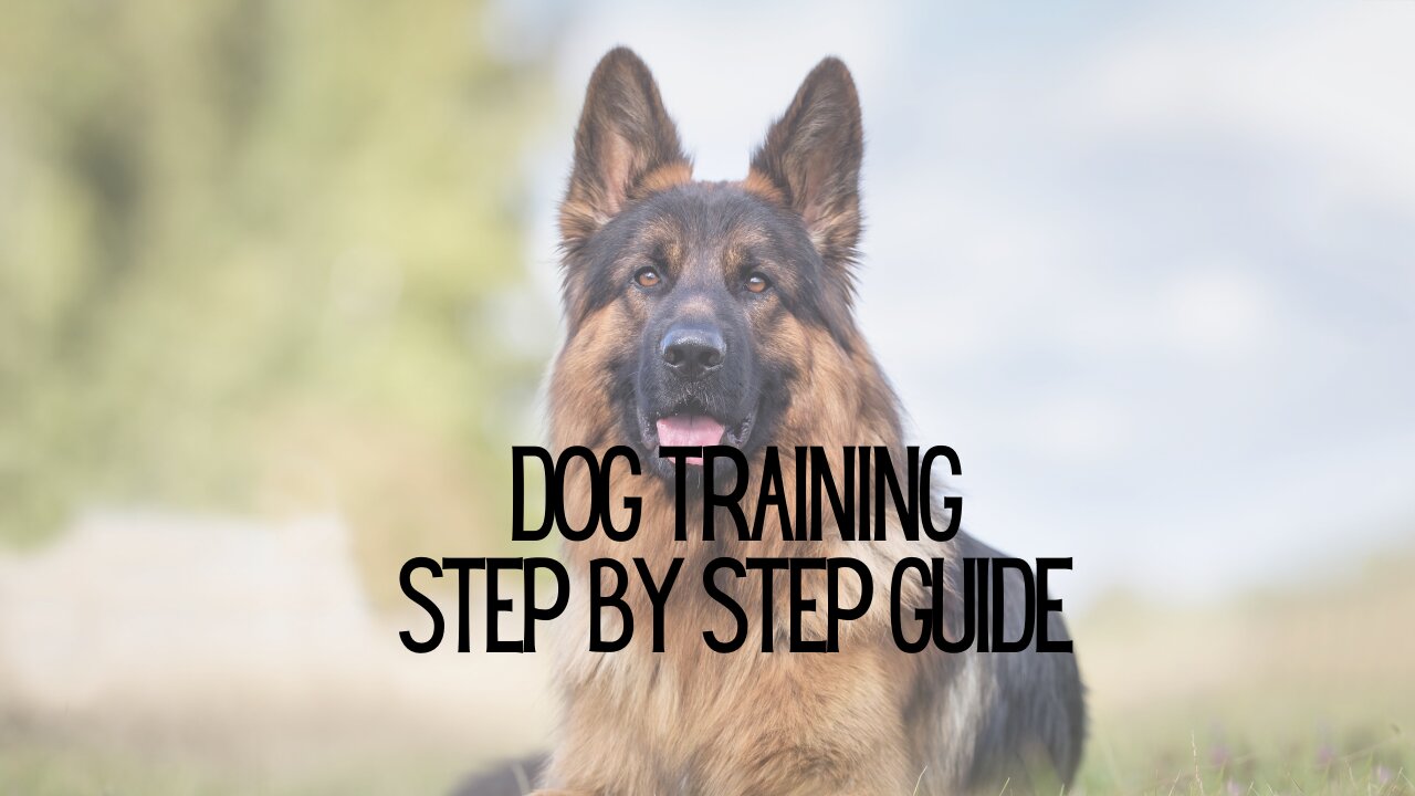 Step by Step training of guard dog