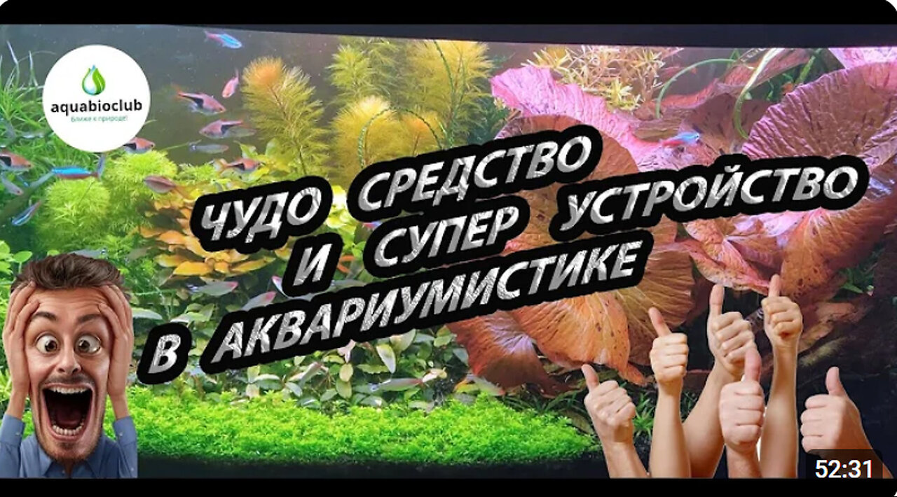 Чудо средство и супер устройство в аквариумистике. Все про Перекись и Оксидатор.