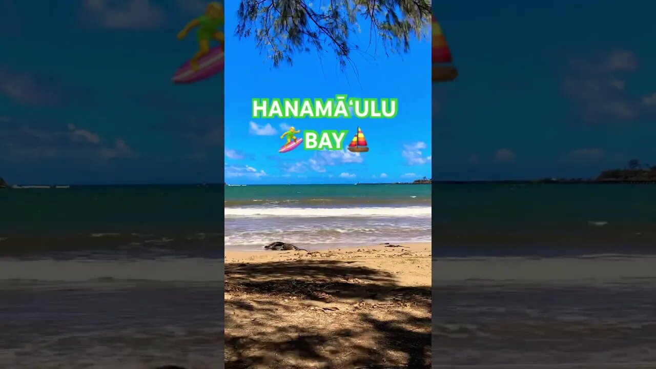 🏝️KAUA’I💨WIND🏄♀️SURFING