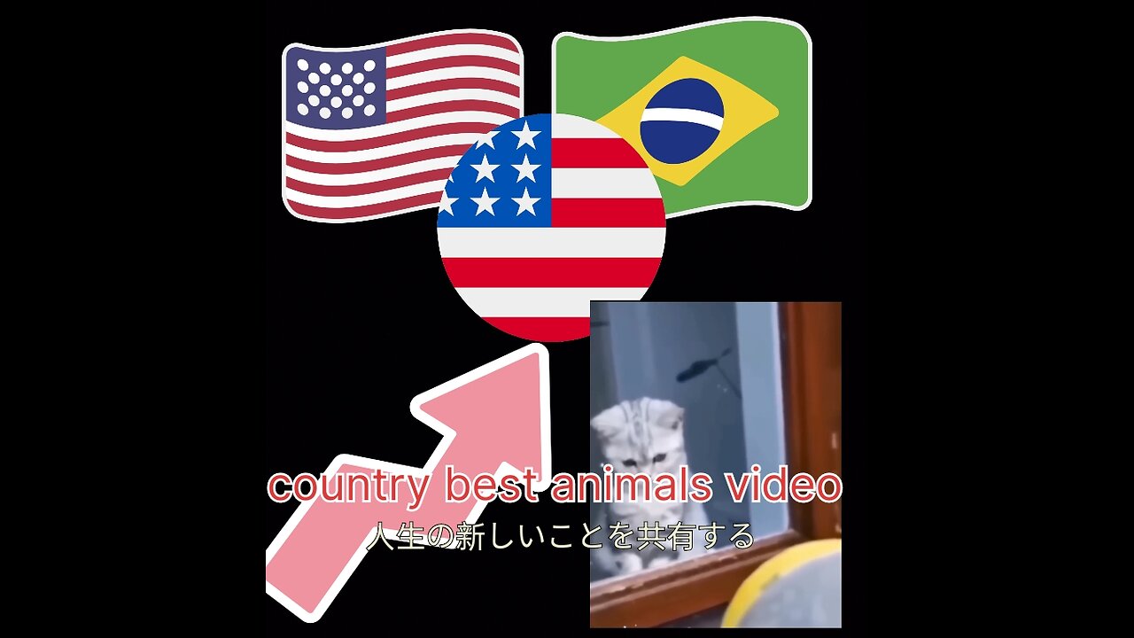 Best video for English kid