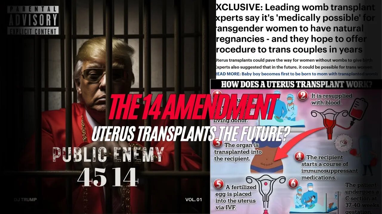 The 14th Amendment, Uterus Transplants the Future | The Hooch