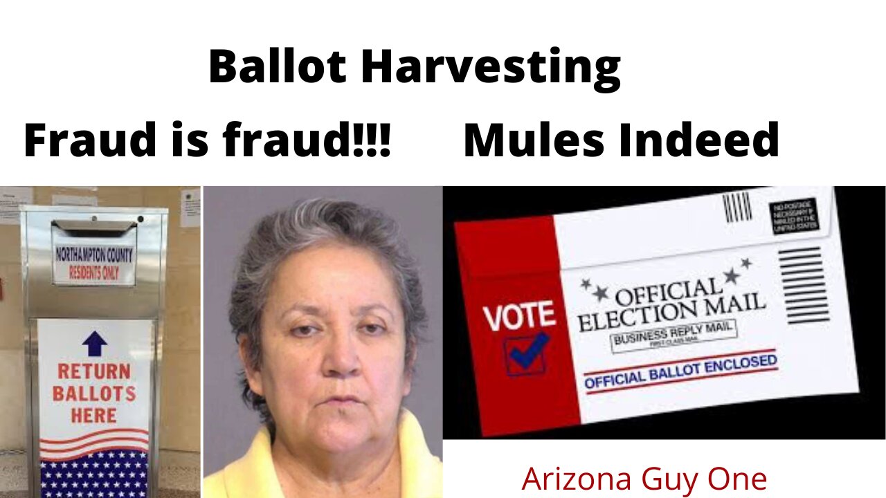 Arizona Resident guilty of Ballot Trafficking