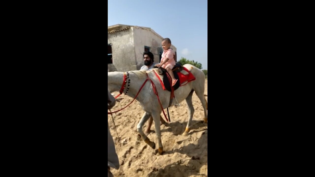 Horse Riding