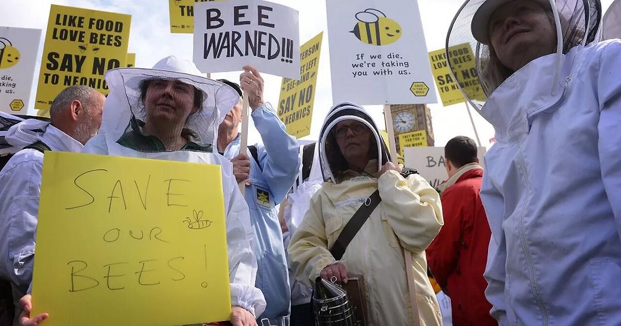 WEF Orders Govt's To Burn Millions of Bees