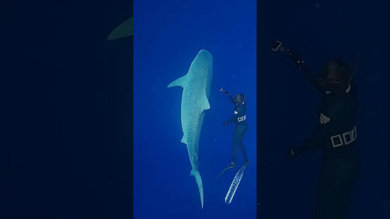 universe of ocean #explore