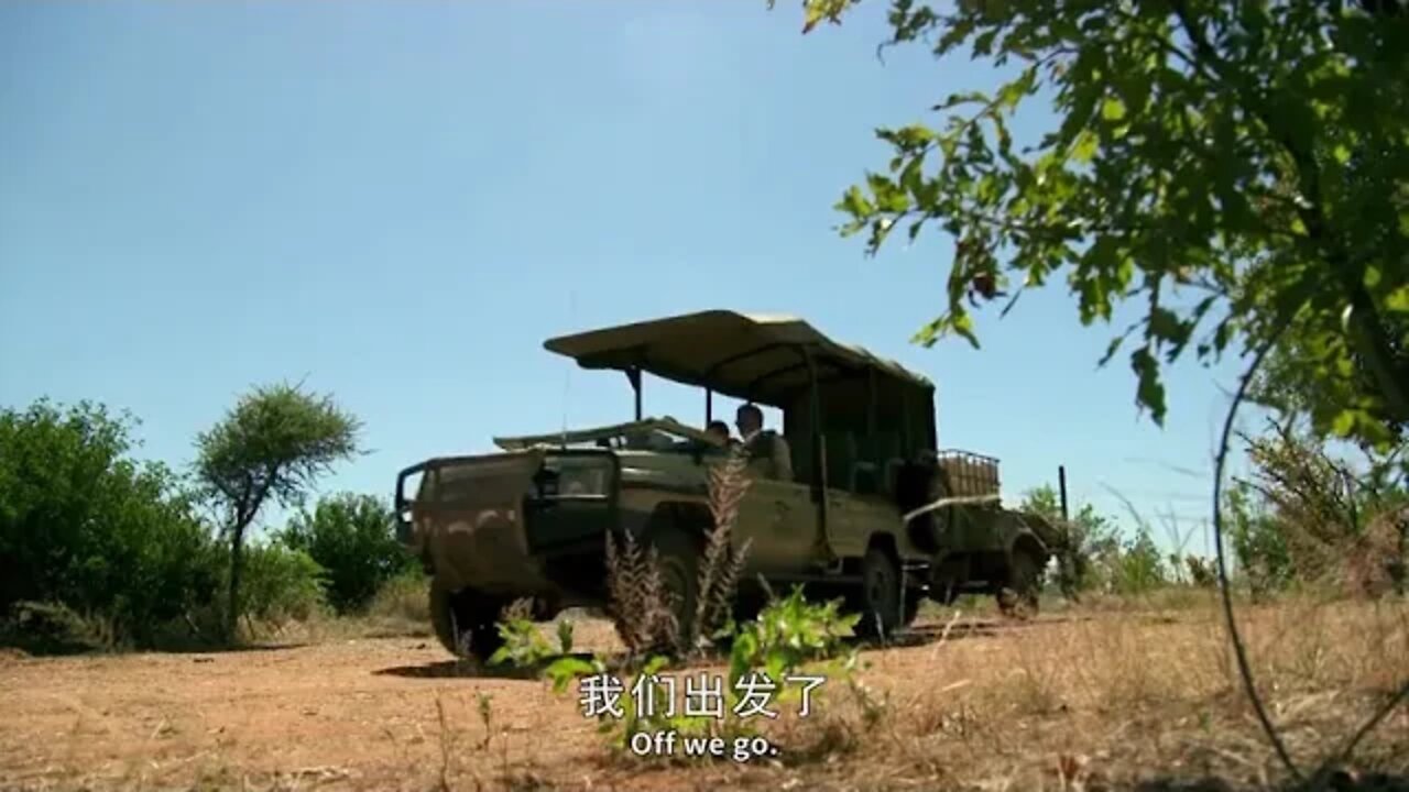 19 = Modern hermit fearless husband and wife, go deep into the African prairie to experience the pri