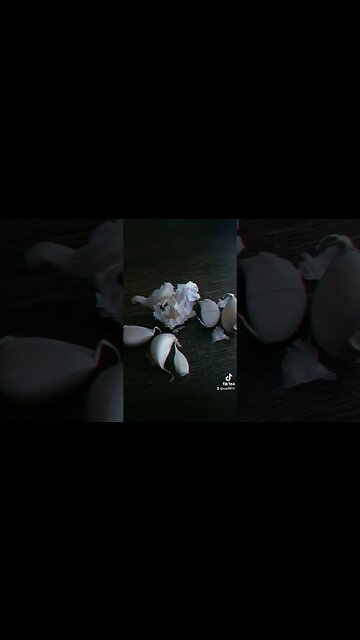 Black Uhuru - Sponji #Reggae #blackuhuru #jmek #kingston #itisnais #bombaclaat