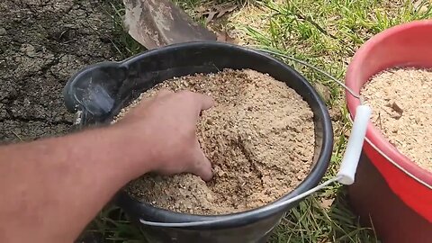 How to make a proper dirt bath for your chickens & Updates on the coop.