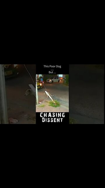 This is NOT What It Seems